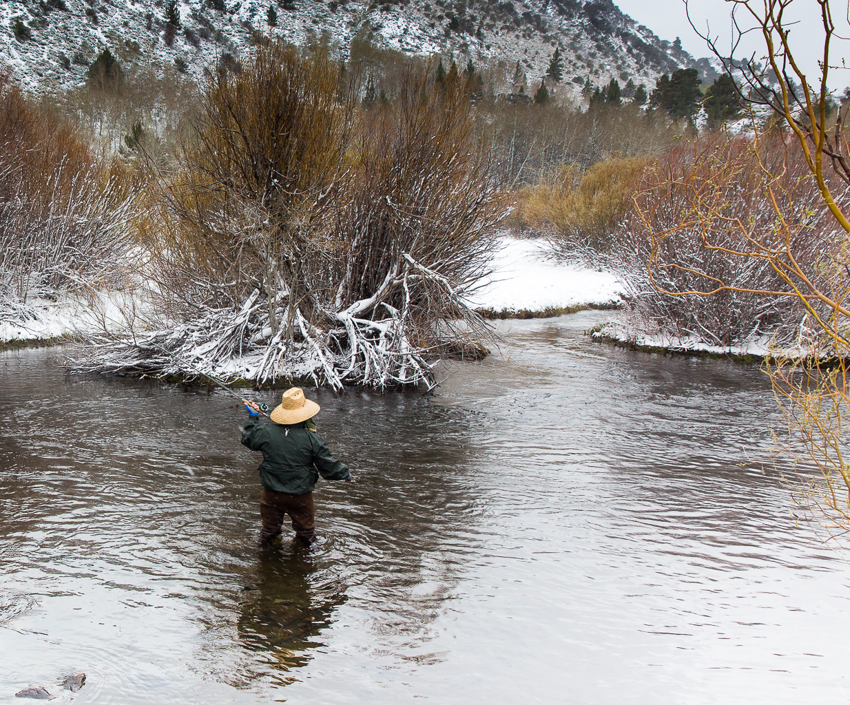 Fly Fishing Sierra Nevada Mountains – HFZA